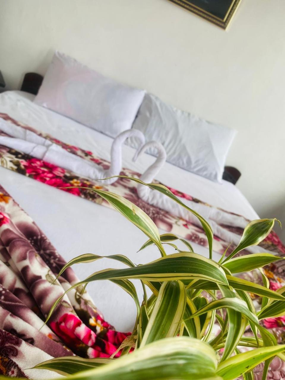 Farah Guest Inn Haputale Dış mekan fotoğraf